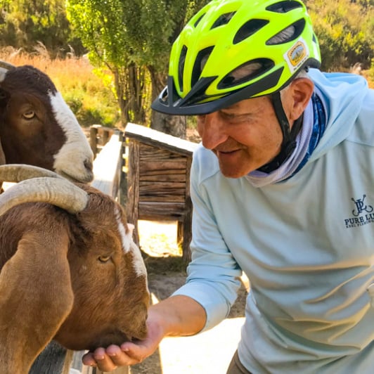 1. Arrowtown Bike feeding goats
