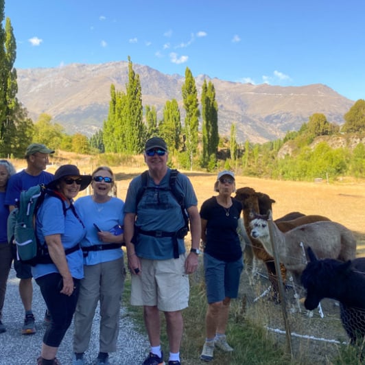 1. Arrowtown bike trip guests at Alpaca field 