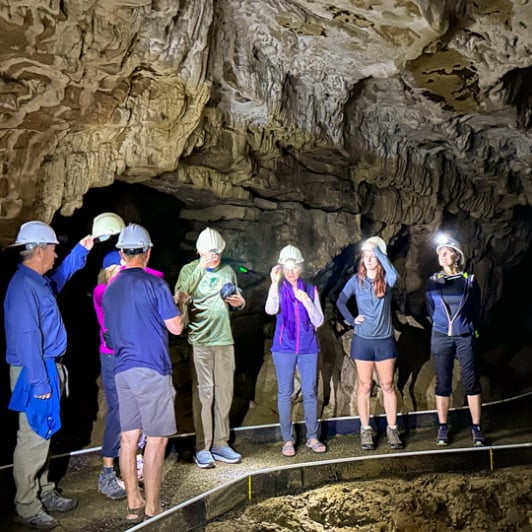 1. Waitomo glowworm caves
