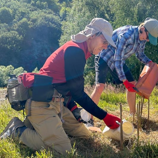 Guests planting native trees in Arrowtown 130125 4