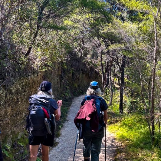 Hike Awaroa to Bark Bay 11 November 2024 2