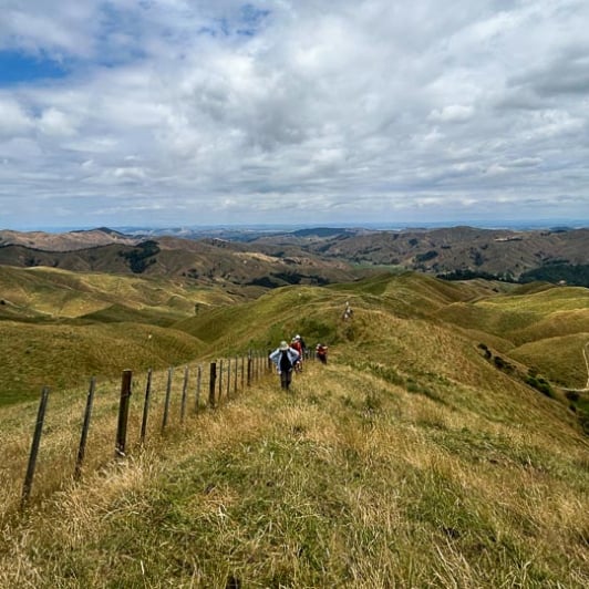 Hike Matahuru Valley 03FEB25