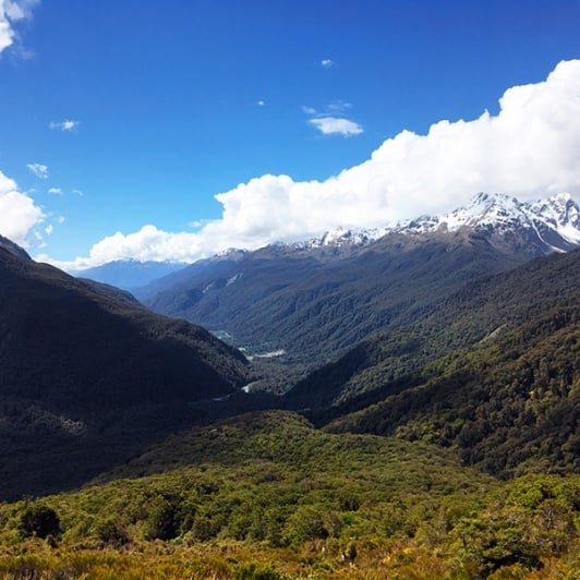 View on Milford Road
