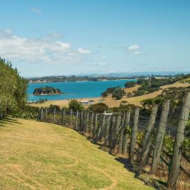 Sweet North - North Island Hiking Adventure - New Zealand Trails