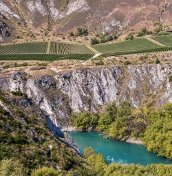 Arrow river Vineyards, Otago New Zealand