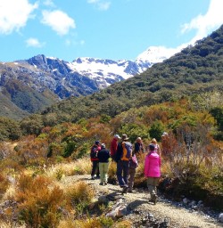 arthurs pass hiking