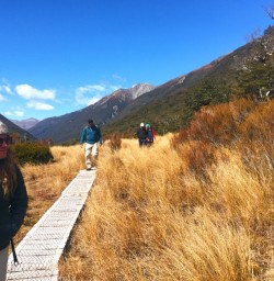 Hiking in Arthurs Pass