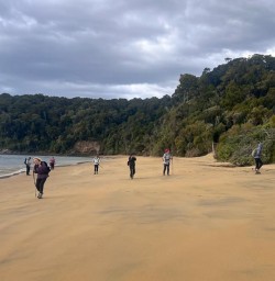 beach on Ulva Island GW04NOV25