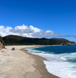 beaches of west coast GE19JAN26