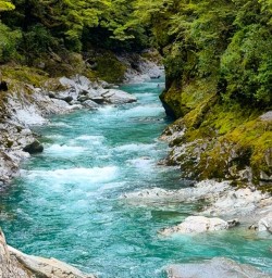 blue water in Fiordland National Park KC10NOV25