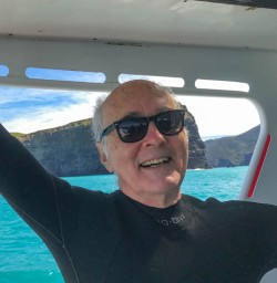 Boat ride and dolphin swin Akaroa