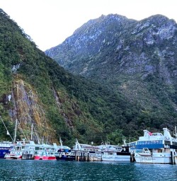 boats at milford sound