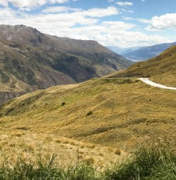 Cardrona Valley, Otago New Zealand