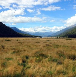 view on eglinton valley new zealand