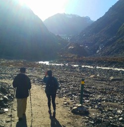 fox glacier hiking