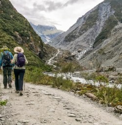 Fox Glacier Valley Track, West Coast New Zealand