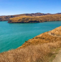 godley heads christchurch