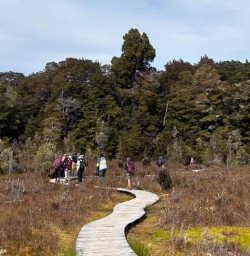 group hike Kepler Track RM03NOV25