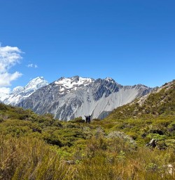 group hike Mt Cook National Park PS24NOV25