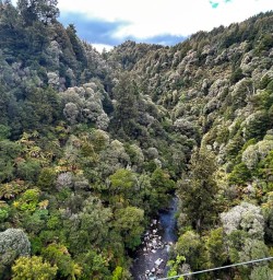 group hike views from Maramataha Bridge GN17NOV25