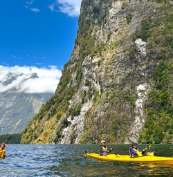 group kayak trip Milford Sound PS22DEC25