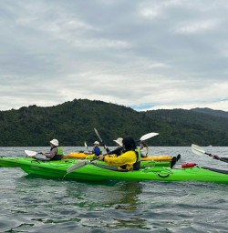 group kayaking in Queen Charlotte sound MP01DEC25