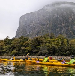 group trip kayak in Milford Sound PS03NOV25