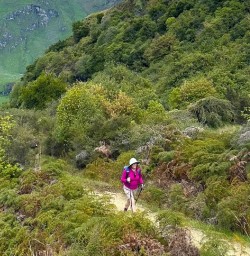 guest hiking in Wanaka RM17NOV25