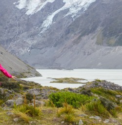 guest hooker valley canterbury nz