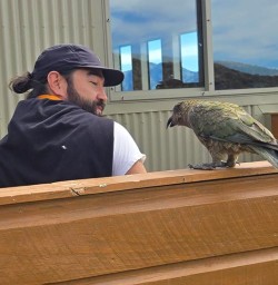 guest meeting keas on the kepler track GW24FEB26
