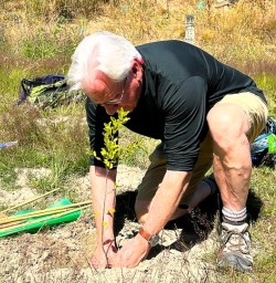 guest planting tree in Arrowtown MP19JAN26