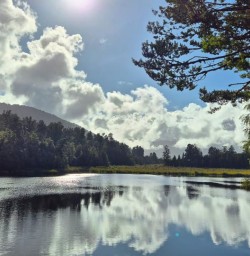 guest trip to Lake Matheson GE03NOV25
