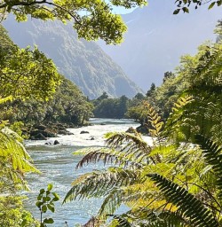 guests Milford Track GE08DEC25