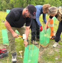 guests and guides planting trees in Arrowtown RM17NOV25
