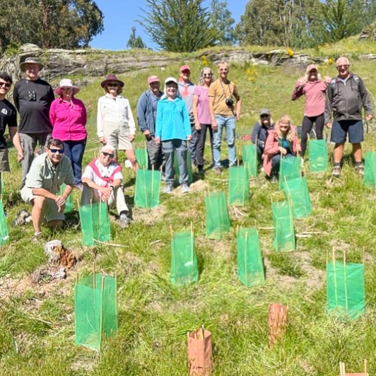 guests arrowtown tree planting MP24NOV25