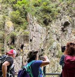 guests at Karangahake Gorge group hike SN13JAN26