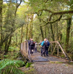 Guests cross bridge on Milford Track 
