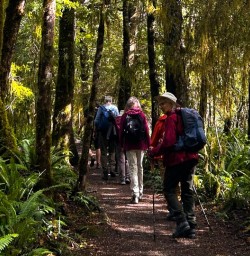 guests day hike kepler track GE30MAR26
