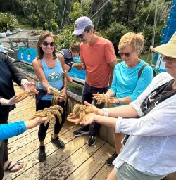guests discovering wildlife queen charlotte MP05JAN26
