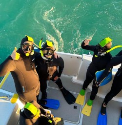 guests dolphin swim in kaikoura MP02MAR26