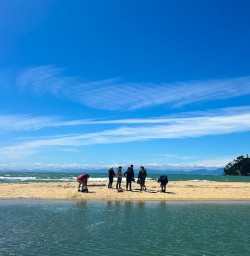 guests explore Abel Tasman National Park beaches GE12JAN26