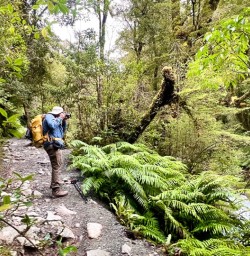 guests explore Fiordland National Park MP02MAR26