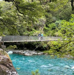 guests explore Fiordland PS29DEC25