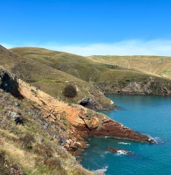 guests explore Kaikoura MP16FEb26