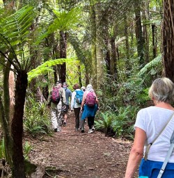 guests explore Karangahake Window Walk SN17FEB26