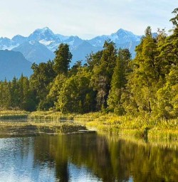 guests explore Lake Matheson MP16MAR26
