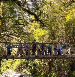 guests explore Milford Sound PS23FEB26