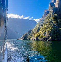 guests explore Milford sound on cruise PS23MAR26
