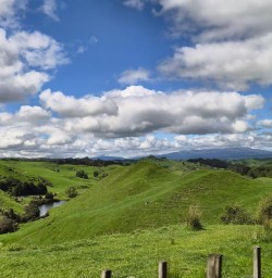 guests explore North Island GN17NOV25