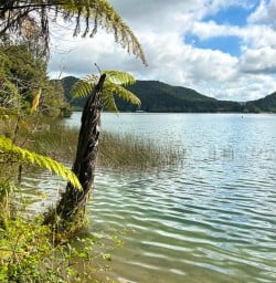 guests explore North Island Lakes SN27JAN26